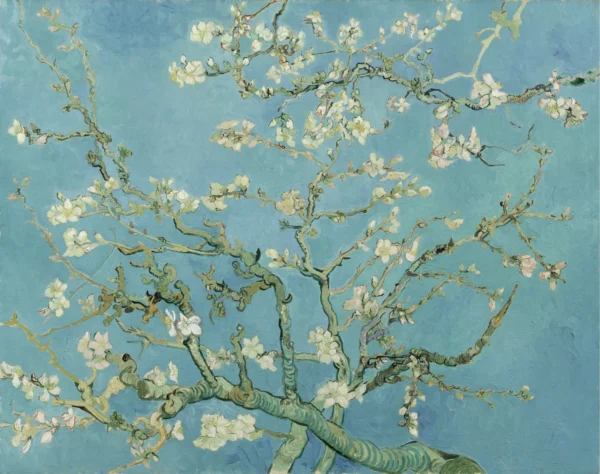 Almond Blossom 1890 Museum