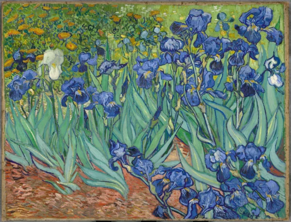 Irises 1889 J.Paul Getty Museum