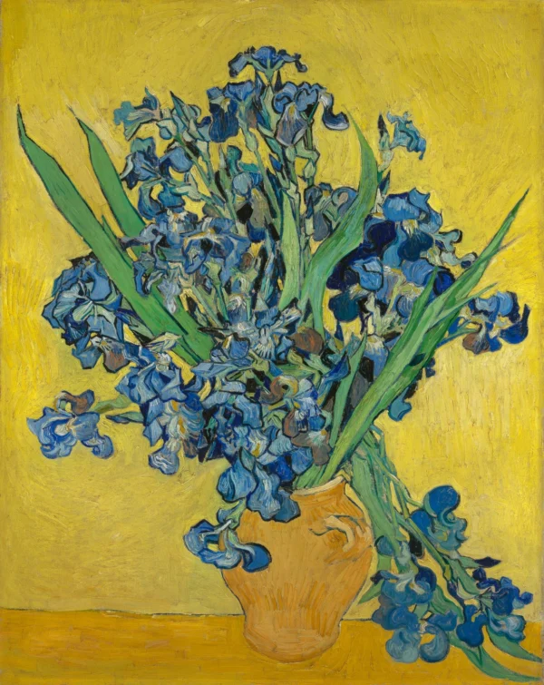 Irises 1890 Museum
