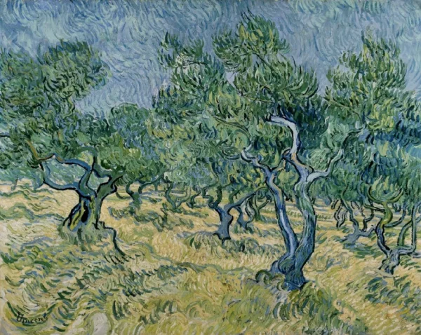 Olive Grove 1889 Kroller Muller Museum