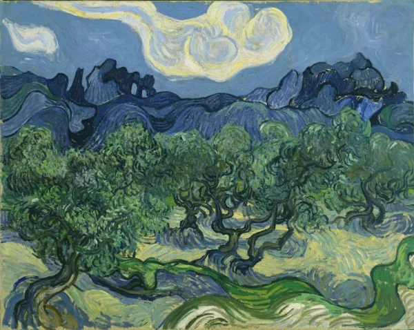 The Olive Trees 1889