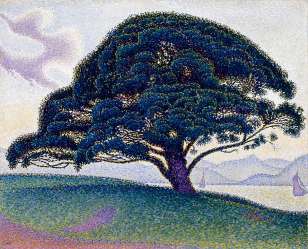 The Bonaventure Pine in Saint-Tropez (Opus 239 1893)