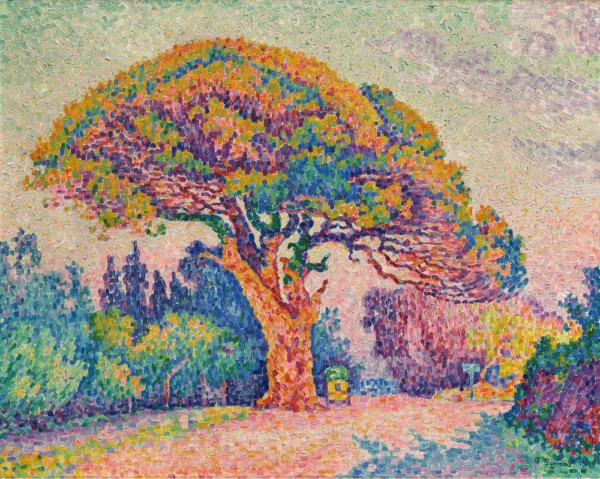 The Pine Tree at Saint-Tropez (1909)