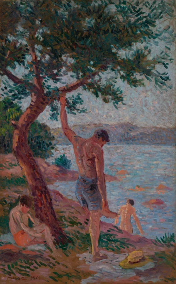 Saint-Tropez, bathers under the pine forest