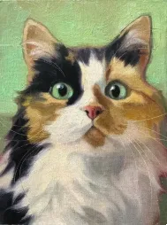Cat Portraits