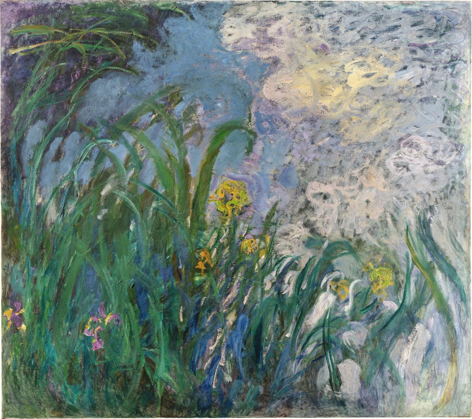 Iris by Claude Monet