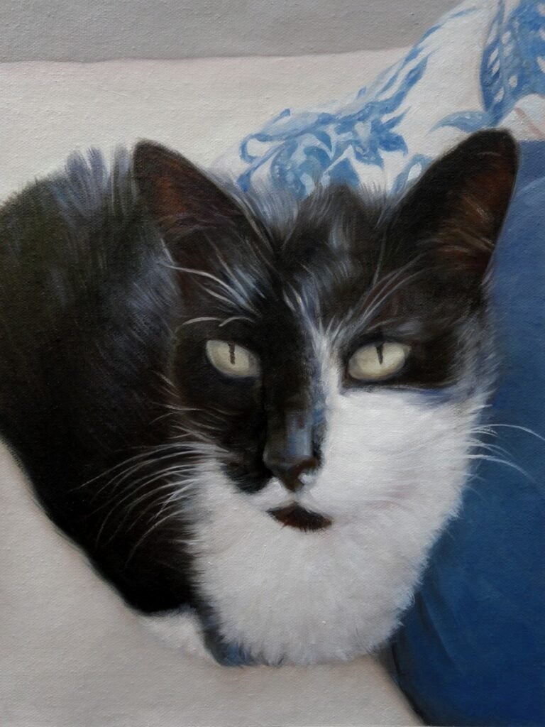 Cat Portraits
