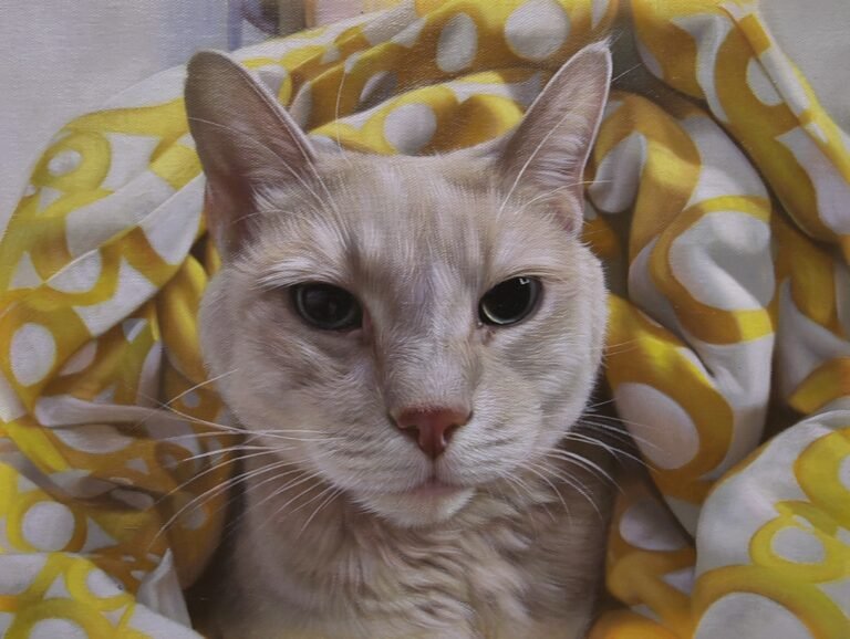 Close portrait of a cream-coloured cat, hand-painted in oil from a photograph