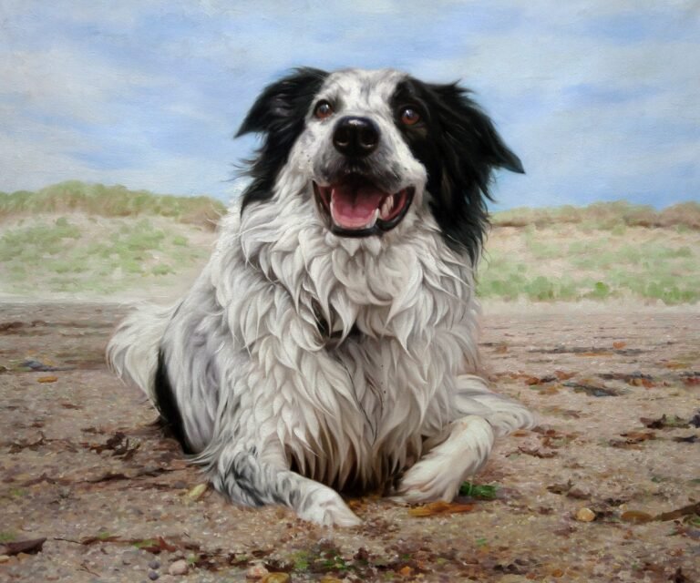 Portrait of a black and white dog lying on sand, hand-painted in oil from a photograph