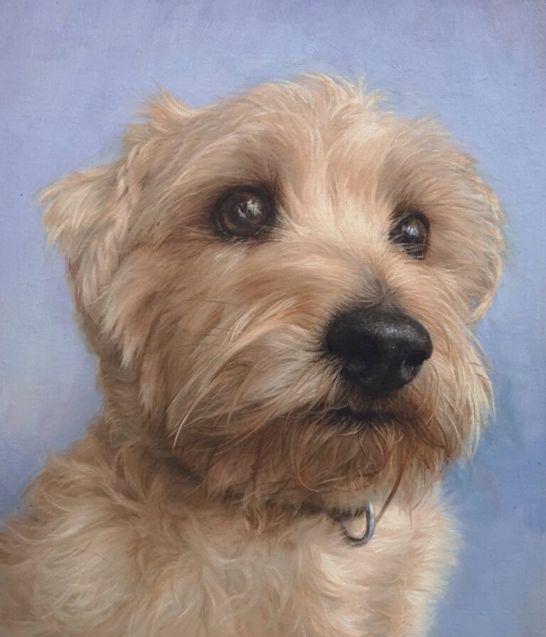 Dog Portraits