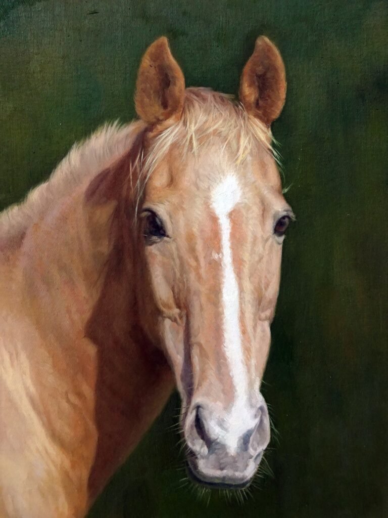 Horse Portraits